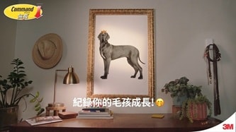 使用無痕高承重相/畫框掛扣掛起毛小孩相片
