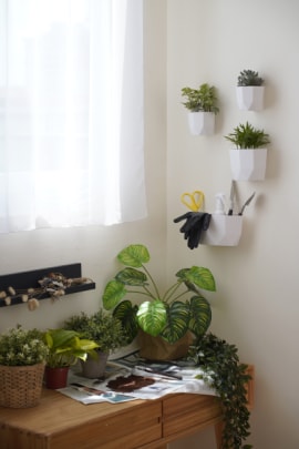 善用角落空間，使用各種尺寸的無痕™ LIFESTYLE置 物盒掛起植栽