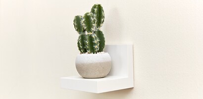 Mount a Command™ Quartz Display Shelves for a succulent
